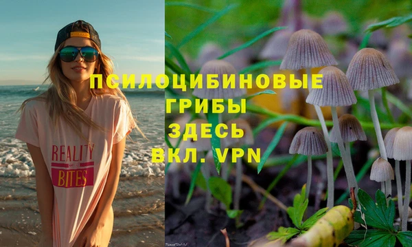 ECSTASY Киреевск