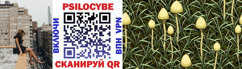 Галлюциногенные грибы Psilocybe  Купить  Верхняя Пышма 