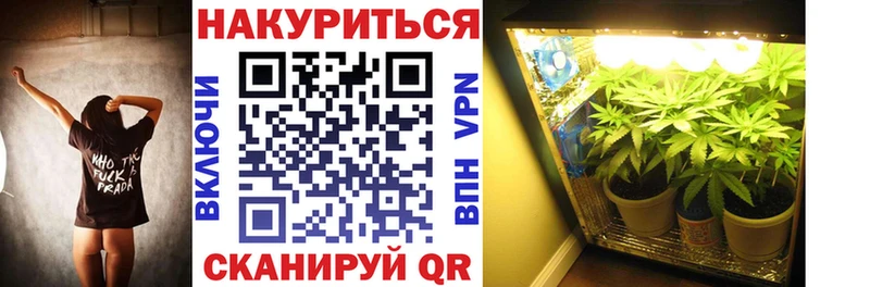 Купить  Верхняя Пышма  Каннабис гибрид 